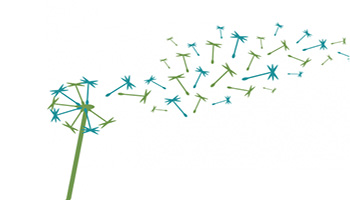 grupo instaladores 1